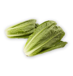 Romansallat är en god sallad som odlas av Sydgrönt